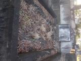 image of grave number 834992